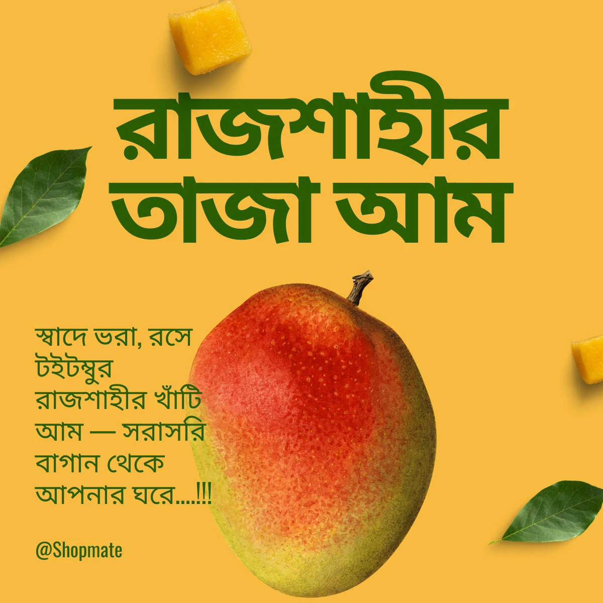 Fresh mangoes from Rajshahi